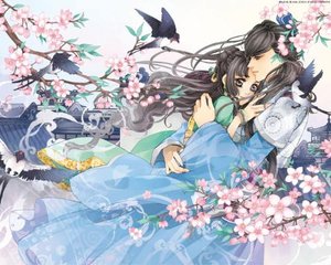 茄子tv最新版